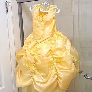 Pottery Barn Bell Disney Theatrical/ Holoween Costume for a Girl, Size 6-7.